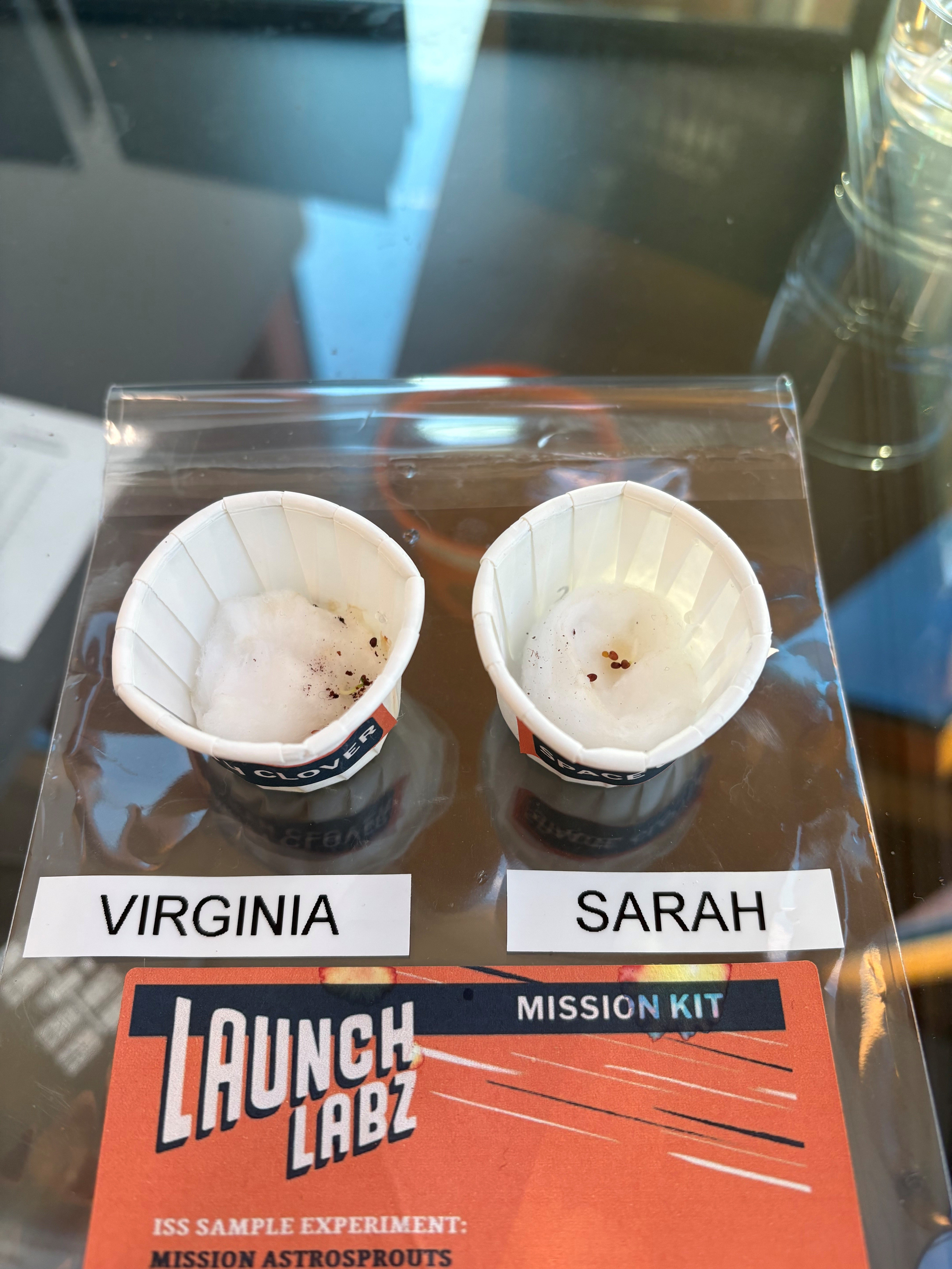 Photo of Virginia (earth) and Sarah (space)