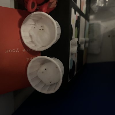 Photo of ISS Clover by Paiten