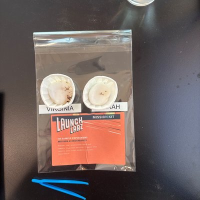 Photo of Virginia (earth) and Sarah (space) by Ballarat Tech School